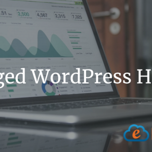 Managed WordPress Hosting Solutions | Is Managed WordPress Hosting Worth The Extra Cost