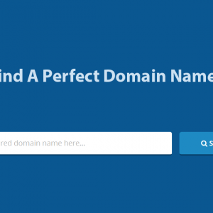 7 Steps for Choosing the Perfect Domain Name for Your Business