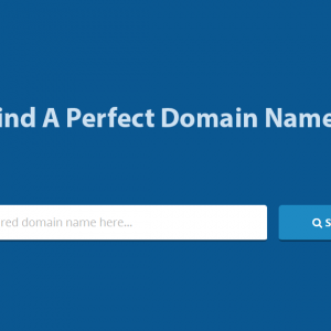 steps to choose perfect domain