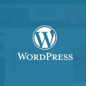 10 Reasons You Should Choose WordPress for Your Business Website