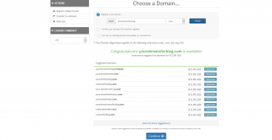 domain registration