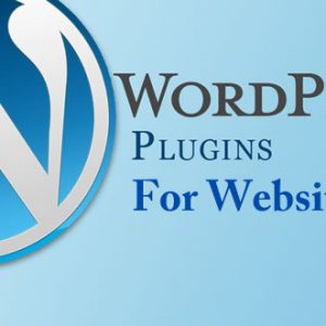 5 Must-have Plugins for WordPress Websites