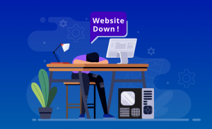 Website Downtime