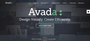 Avada Theme