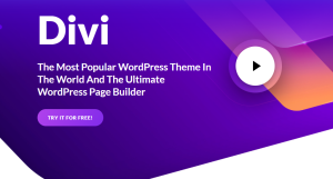 Divi Theme