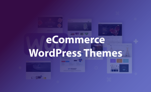 eCommerce WordPress Themes